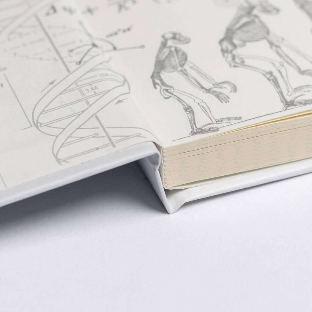 Anatomy A5 Hardcover