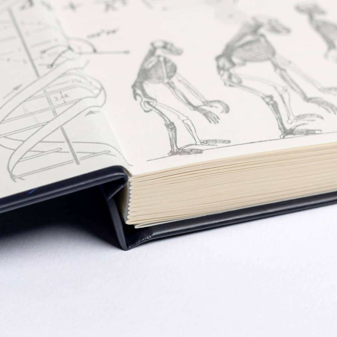 Maths A5 Hardcover