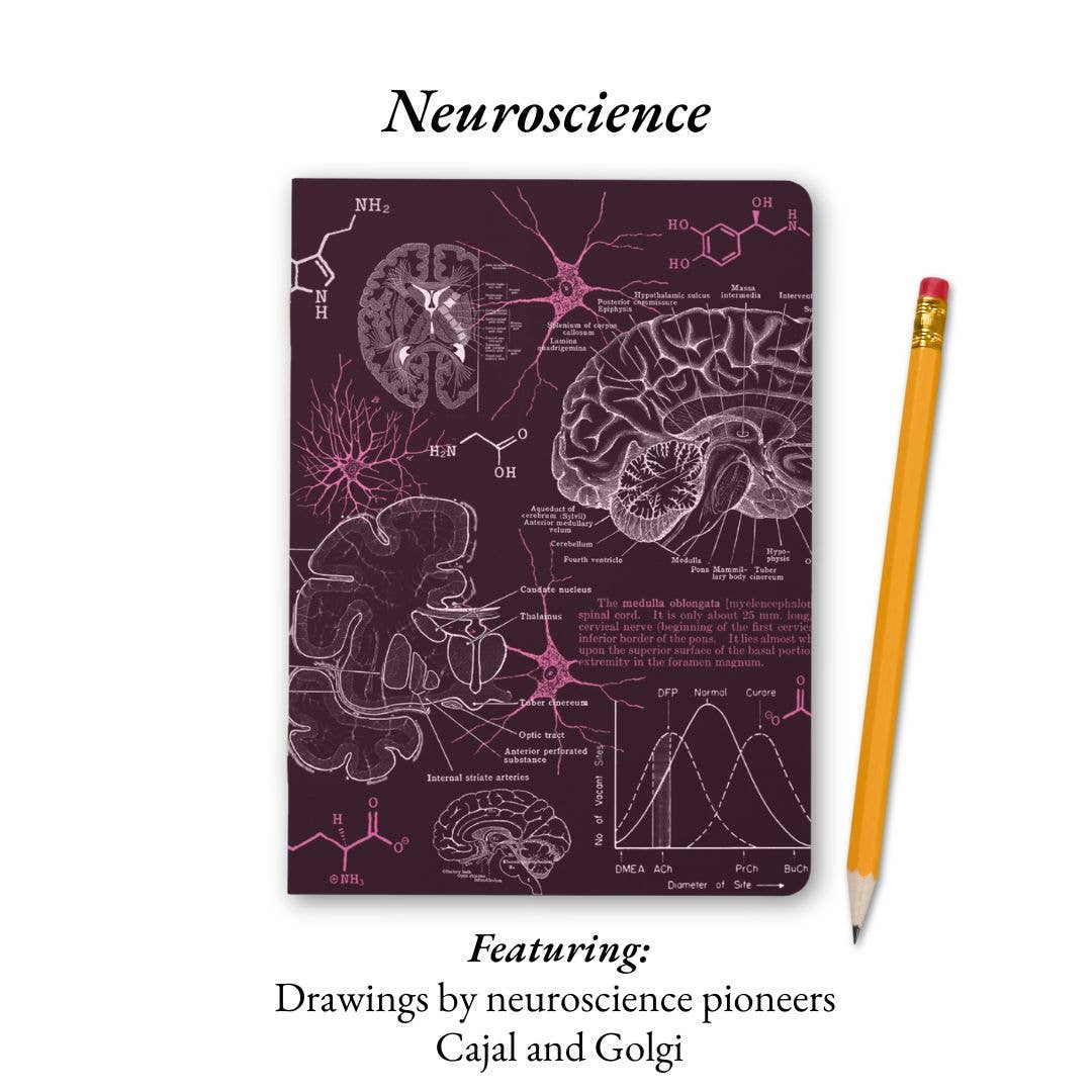 The Living Code: Anatomy, Neuroscience, Evolution & Genetics