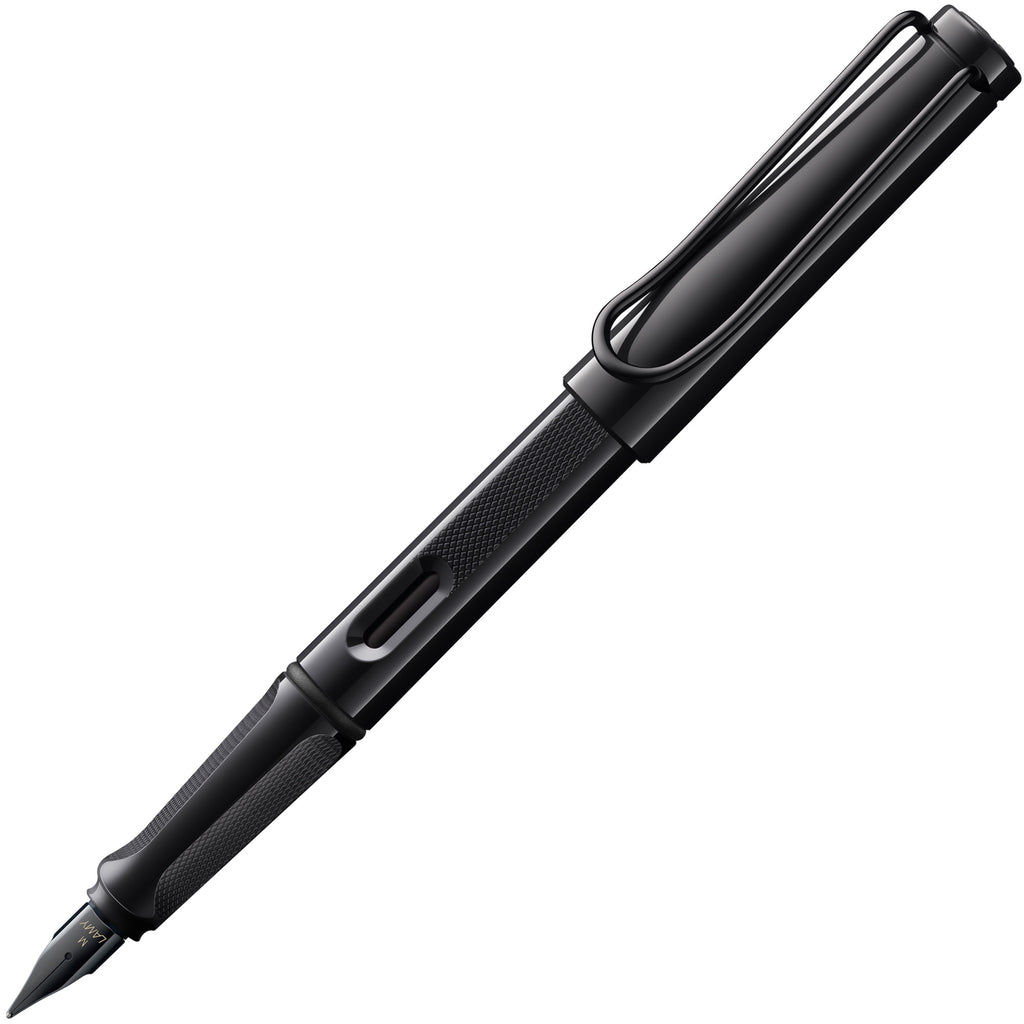 Special Edition Lamy Meteora & Meteorite