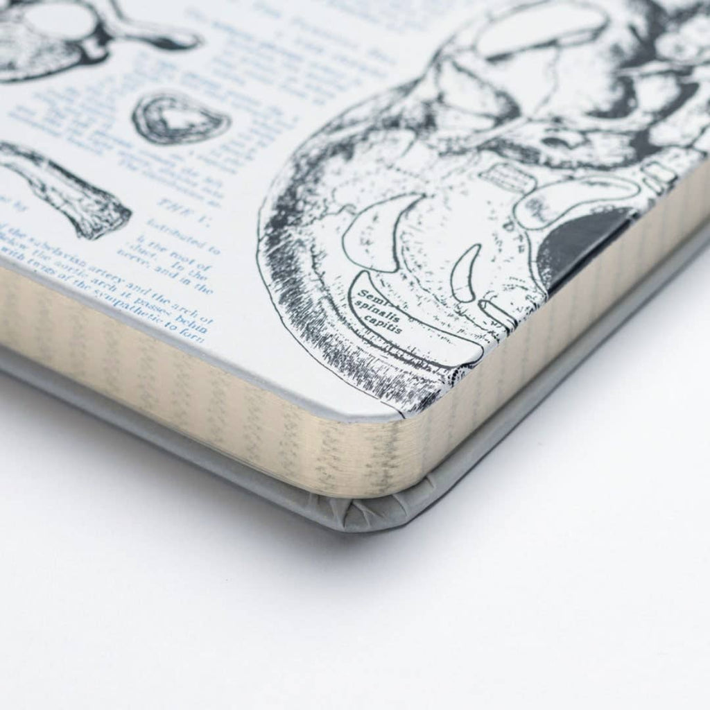 Anatomy A5 Hardcover