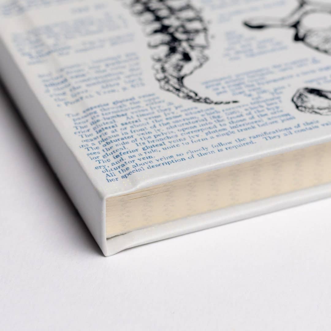 Anatomy A5 Hardcover