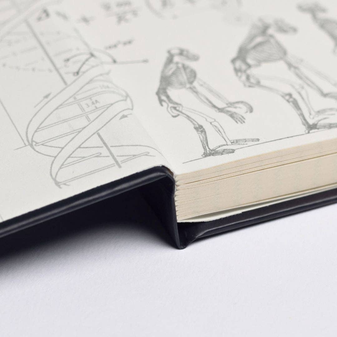 Archaeology A5 Hardcover Notebook