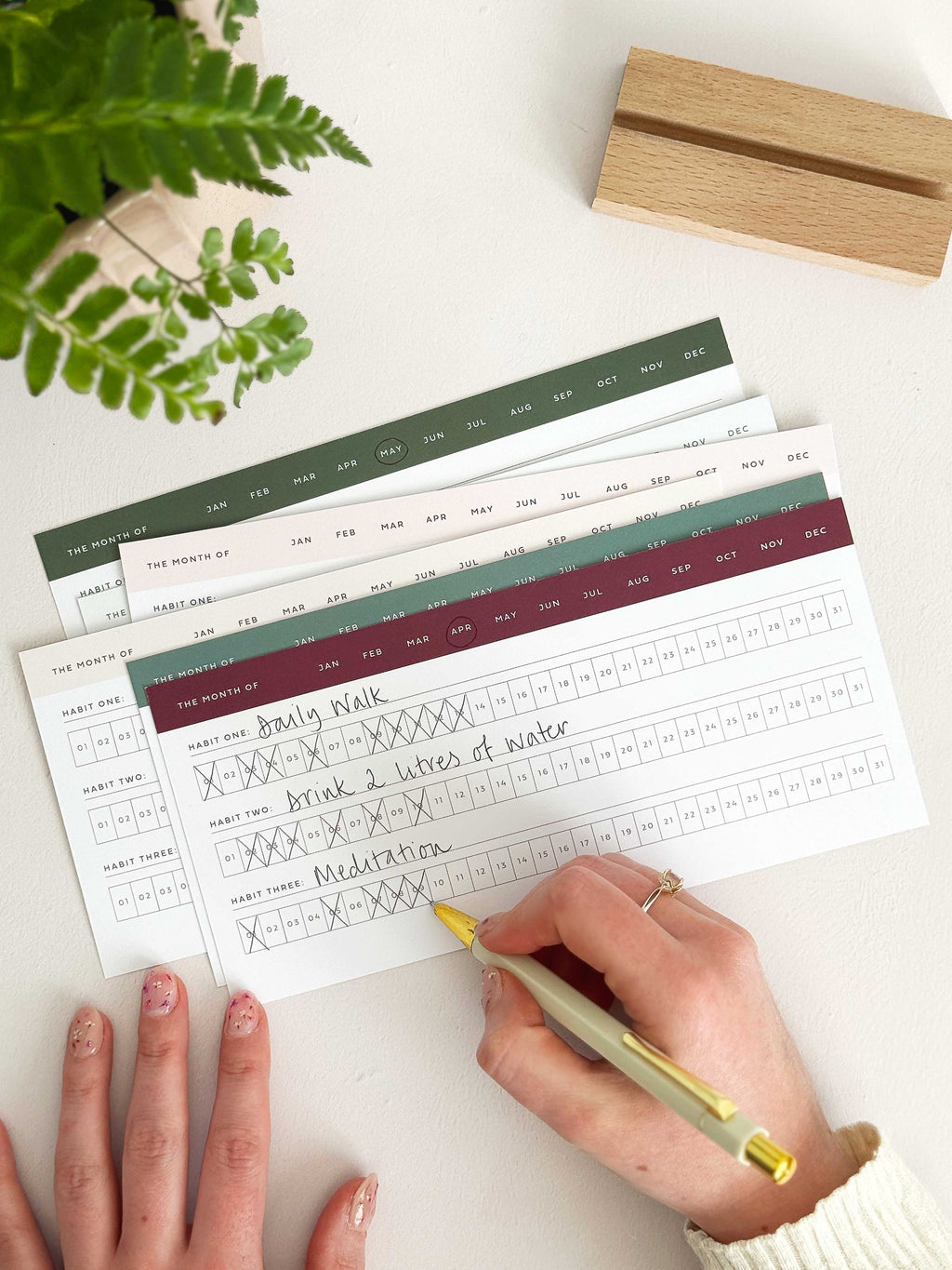 Multi Daily Habit Tracker Cards with Wooden Holder