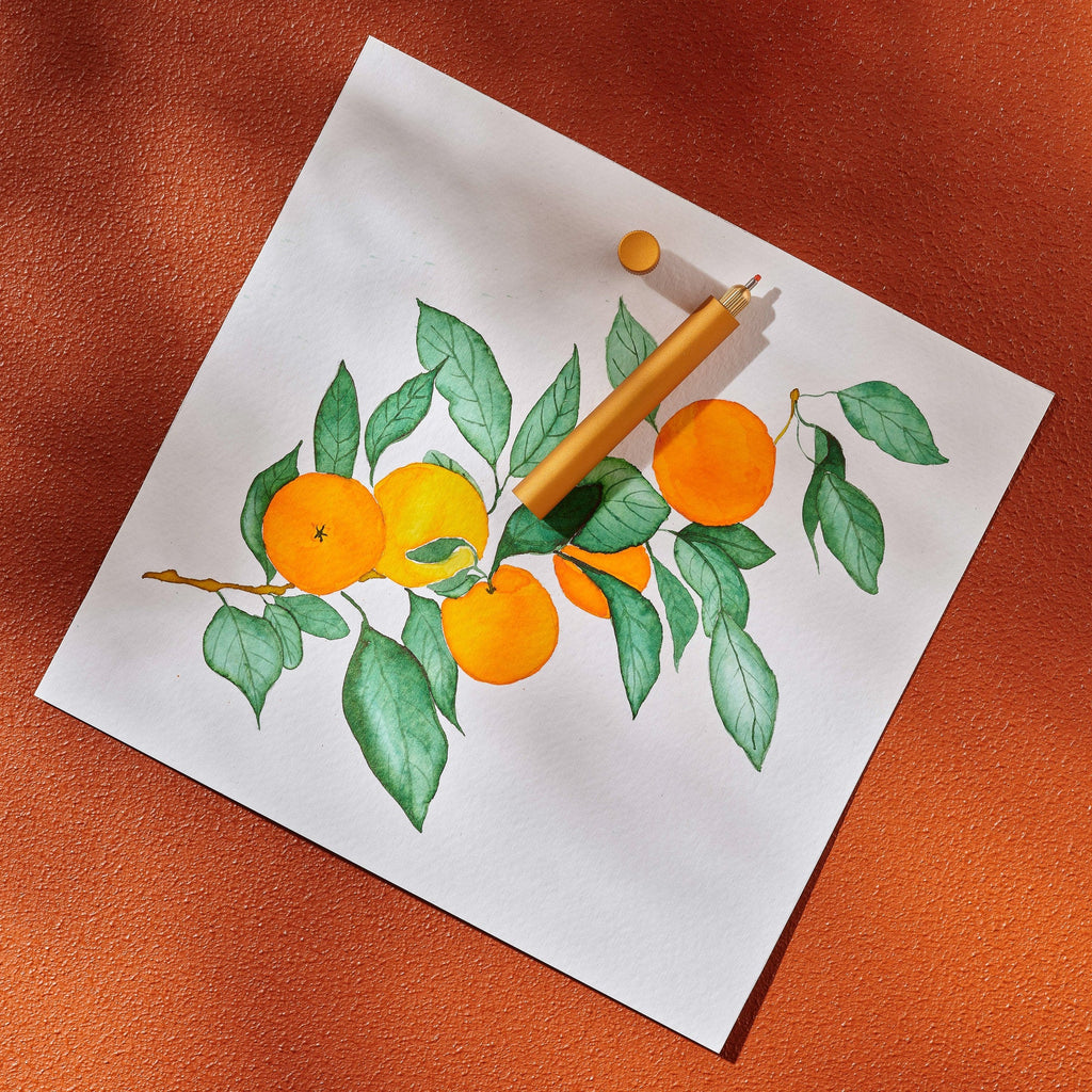 Tom's Studio Special Edition Clementine Lumos
