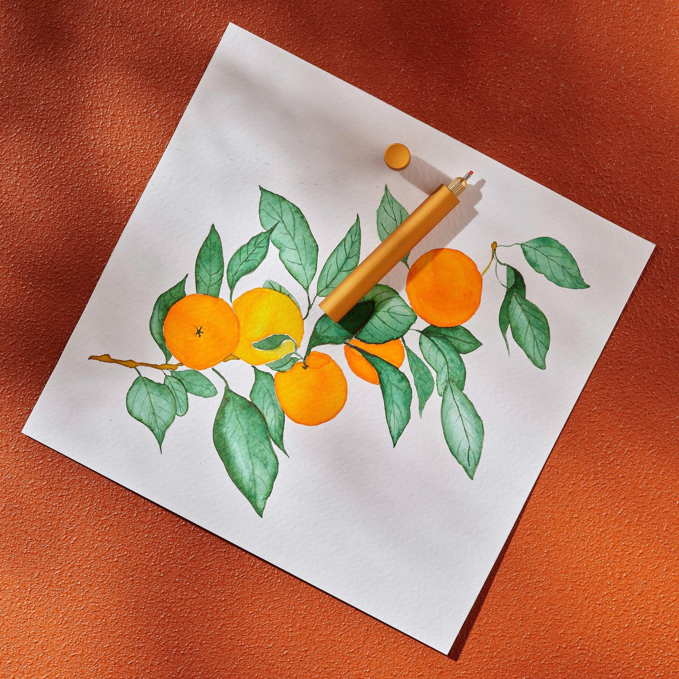Tom's Studio Special Edition Clementine Lumos
