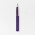 Pocket Fountain Pen