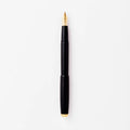 Studio Fountain Pen